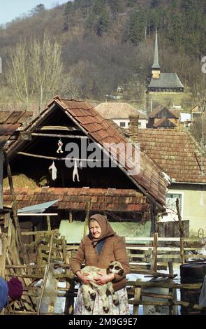 Salaj County, Rumänien, ca. 2000. Ältere Frau, die ein Lamm in den Armen hält. Stockfoto