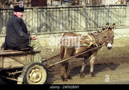 Salaj County, Rumänien, ca. 1999. Ein einheimischer Mann in einem Eselwagen auf einer unbefestigten Dorfstraße. Stockfoto