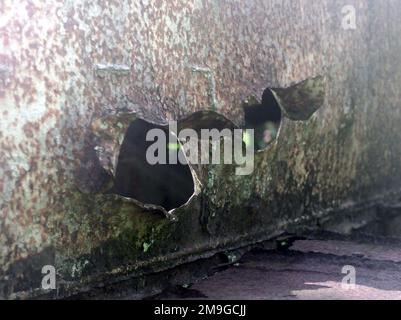 Kampfschäden in einem georteten Landungsfahrzeug (LVT), das nach der Schlacht von Peleliu im Zweiten Weltkrieg auf der Insel Peleliu zurückgelassen wurde. Foto wurde im Rahmen der Übung KOA THUNDER 2001 aufgenommen. Marines von Aviation Support Element, Kaneohe Bay, Hawaii, 1. Marine Air Wing, Okinawa, Japan, und 3. Marines 7. Bataillon, 29 Palms, Kalifornien, nahmen von Juli 9 bis Juli 14 am KOA-DONNER auf der Insel Guam Teil. Ziel der Übung war es, die Fähigkeit des Marinekorps zu demonstrieren, im Südpazifik von anderen Orten als Okinawa, Japan, zu stationieren. Betreff Betrieb/Serie: KOA THUNDER 20 Stockfoto
