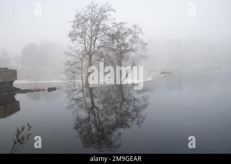 Bäume spiegeln sich im Fluss Derwent wider, während er an einem nebligen Morgen über das Hufeisenweir in Belper, Derbyshire, England fließt Stockfoto