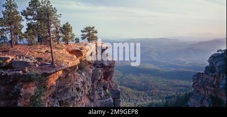 Landschaft mit Bäumen auf Klippen, Promontory Butte, General George Crook Trail, Mogollon Rim, Apache Sitgreaves National Forest, Arizona, USA Stockfoto