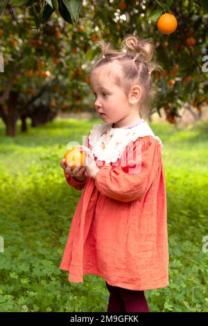 Schönes Mädchen im Orangengarten und reife Orangen auf den Zweigen von Bäumen. Foto eines Mädchens im Garten unter Obstbäumen. Stockfoto