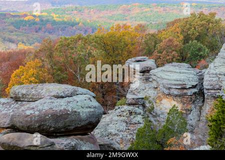 63895-16405 Camel Rock in Herbstfarbe Garden of the Gods Recreation Area Shawnee National Forest IL Stockfoto