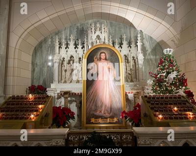 Das Innere der St. Patrick's Cathedral enthält viele Seiten, Alters, die verschiedenen Heiligen gewidmet sind, 2023, NYC, USA Stockfoto