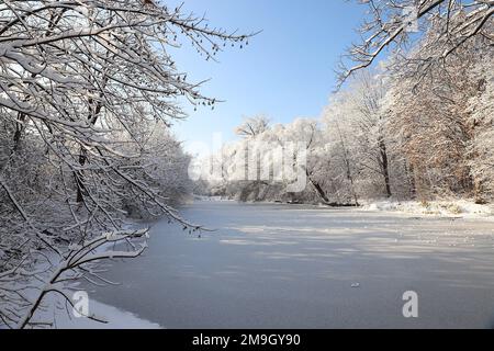 Winterszene mit schneebedeckten Bäumen und Teich Stockfoto