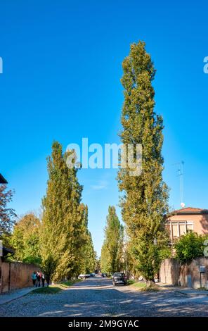 Blick auf Corso Ercole i d'Este, Ferrara, Italien Stockfoto