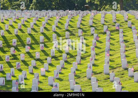 65095-02810 Grabsteine in der Jefferson Barracks National Cemetery St. Louis, MO Stockfoto