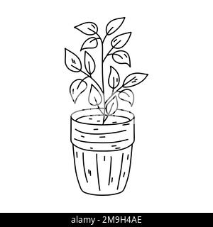 Hauspflanze im Keramiktopf im handgezeichneten Doodle-Stil. Dekorative Skizze für Pflanzenszene im Topfhaus für Print-, Web-, Mobil- und Infografiken isola Stock Vektor