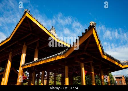 Gebäude aus dem Tiefwinkel, Chicago, Illinois, USA Stockfoto