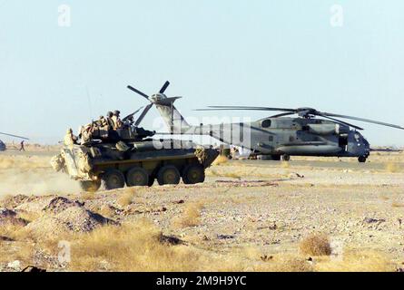 Ein Marine LAV-25 (Leichtes Panzerfahrzeug-25) mit Alpha Company, zweites Aufklärungsbataillon Light Panzeraufklärung, dem Bataillon Landing Team 3/6, 26. Marine Expeditionary Unit (Special Operations Capable) (MEU(SOC)) angeschlossen, manövriert während DES EINSATZES um einen Marine-CH-53 Sea-Hallion-Hubschrauber am Internationalen Flughafen KANDAHENAR, Afghanistan. Betreff Operation/Serie: DAUERHAFTE FREIHEITSBASIS: Internationaler Flughafen Kandahar Land: Szene in Afghanistan (AFG) Hauptkommando gezeigt: 26 MEU Stockfoto