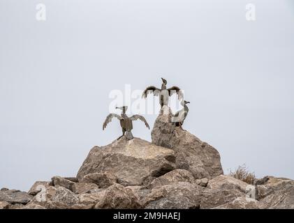 Kormoranskulptur - The Tern Project, Morecambe, Lancashire, Großbritannien Stockfoto