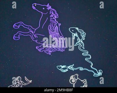 8. Januar 2023, Dnipro, Ukraine. Konstellationen von Equuleus, Equ und Fische am Sternenhimmel im Planetarium. Stockfoto