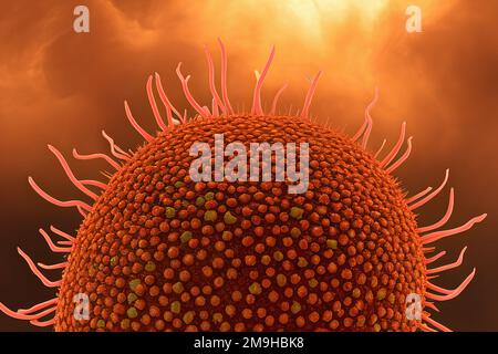 Foto, Illustration. Virus, Grippe, Bakterien, Nahaufnahme. Im Organismus. Stockfoto