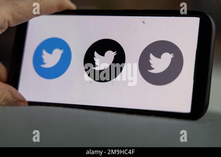 Hand hält ein Smartphone mit Twitter-Symbol auf dem Bildschirm. IPhone mit einem Logo für eine Social-Media-App. Amsterdam, Niederlande 2023.01.01 Stockfoto