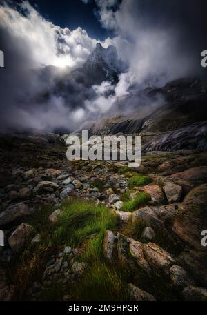 Landschaft mit Berggipfel, Mont Pelvoux, Französische Alpen, Ecrins-Nationalpark, Hautes-Alpes, Frankreich Stockfoto