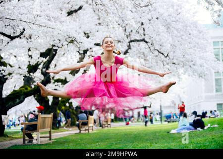 Akrobat in pinkfarbenem Kleid im Park, University of Washington, Seattle, Washington State, USA Stockfoto