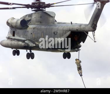 USMC-Personal, das dem 1. Bataillon, 3. Marines Schnellseil aus einem schwebenden USMC CH-53 Sea Hallion Helikopter auf der Marine Corps Base Hawaii (MCBH) zugewiesen wurde. Basis: Marinestützpunkt, Kaneohe Bundesstaat: Hawaii (HI) Land: Vereinigte Staaten von Amerika (USA) Stockfoto