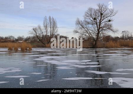 Gefrorener See. Reflexion von Schilf und Bäumen. Schnee auf dem Eis. Stockfoto