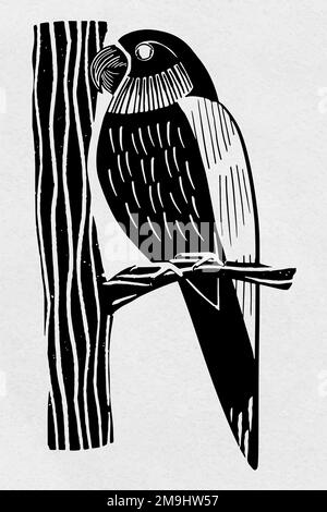 Vintage Papagei Vektor Vogel handgezeichnete Cliparts Stock Vektor