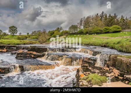 Eine kurze Pause auf dieser Kaskade auf Sleightholme Beck in East Mellwaters, Bowes, als dunkle Wolken, die Regen versprechen einzukehren. Stockfoto