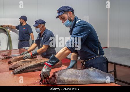 Schneiden und Vorbereiten von Fisch für die Konservenherstellung, Fischkonservenfabrik (USISA), Isla Cristina, Spanien Stockfoto