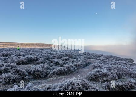 Durchbrechen des Nebels auf dem Ilkley Moor an einem kalten Tag mit dickem Frost auf der Heidekraut. Ein Läufer rennt auf dem Ilkley Moor mit dem Mond hoch Stockfoto
