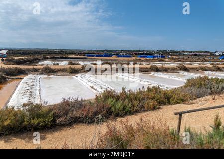 Salzmarschen, Isla Cristina, Spanien Stockfoto