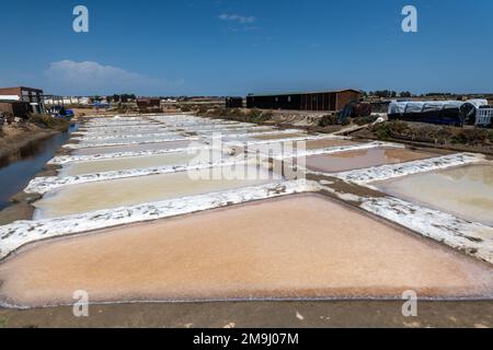 Salzmarschen, Isla Cristina, Spanien Stockfoto