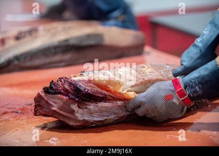 Schneiden und Vorbereiten von Fisch für die Konservenherstellung, Fischkonservenfabrik (USISA), Isla Cristina, Spanien Stockfoto