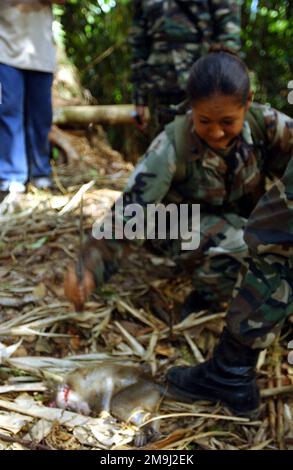 Der US Marine Corps (USMC) Corporal (CPL) M. Moreno, mit dem Kampfdienst-Unterstützungselement Landing Force Cooperation Aboat Readiness and Training (KARAT), tötet einen kleinen Affen während des Überlebenstrainings im Dschungel in Malaysia. Land: Malaysia (MYS) Stockfoto