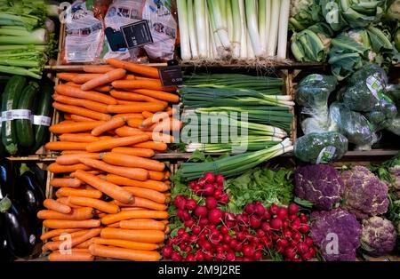 Neubiberg, Deutschland. 18. Januar 2023. Gemüse wird in einem Supermarkt ausgestellt. Kredit: Sven Hoppe/dpa/Alamy Live News Stockfoto