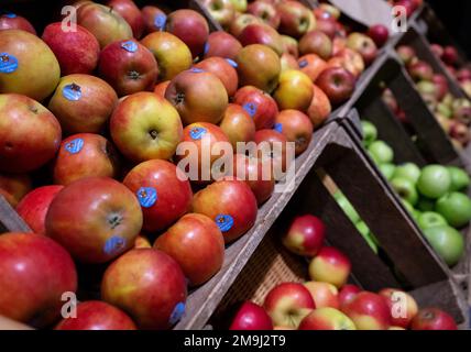 Neubiberg, Deutschland. 18. Januar 2023. Verschiedene Äpfel liegen auf einer Auslage in einem Supermarkt. Kredit: Sven Hoppe/dpa/Alamy Live News Stockfoto