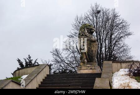 Lublin, Polen - 12.25.2022: Steinstatue eines Löwen auf dem Schlossplatz vor dem Schloss Lublin Stockfoto