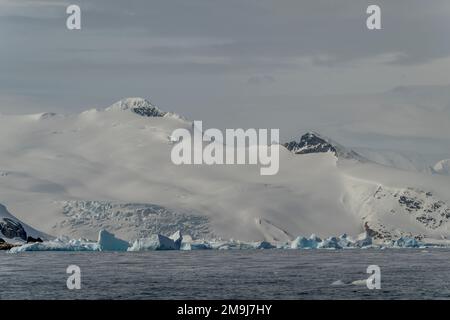 Blick auf die Eisberge und Gletscher in Cierva Cove, einer Bucht entlang der Westküste von Graham Land, antarktische Halbinsel, Antarktis. Stockfoto