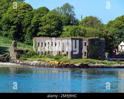 Die Ruinen eines alten Steinkornlagers am Ufer der Clonakilty Bay an einem sonnigen Frühlingstag. Irische Landschaft. Die Ruinen von Arundel Grain Store in der Nähe Stockfoto