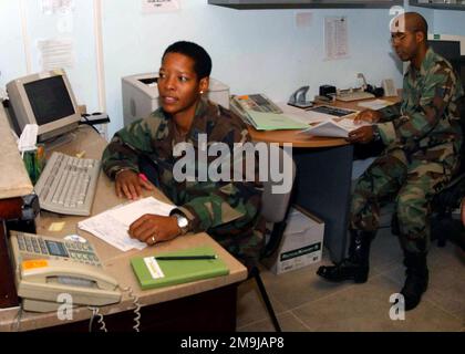 Captain der US Air Force (USAF) (CPT) Gennifer Washington (links), Life Skills Social Worker und USAF STAFF Sergeant (SSGT), Patrick Lewis, Life Skills Technician, beide der 39. Medical Group (MDG), 10. Expeditionary Medical Squadron (EMS) zugeteilt, neigen zu den psychischen Gesundheitsbedürfnissen des Basispersonals an der Life Skills Clinic. Während ihres Einsatzes auf dem LUFTWAFFENSTÜTZPUNKT Incirlik (ab), Türkei, zur Unterstützung der kombinierten Task Force (CTF), Operation NORTHERN WATCH. Betreff Operation/Serie: NÖRDLICHE WACHSTATION: Luftwaffenstützpunkt Incirlik, Land Adana: Türkei (TUR) Stockfoto