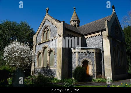 West Hyde, Hertfordshire, Großbritannien. 19. März 2022. Magnolia und primula blühen auf dem Gelände der Kirche St. Thomas von Canterbury. Ein schöner sonniger Tag in West Hyde mit einem echten Gefühl von Frühling in der Luft. Kredit: Maureen McLean/Alamy Stockfoto