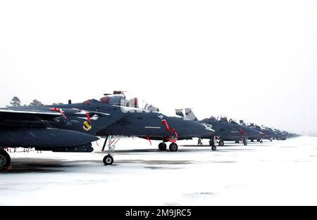 Eine Reihe von US Air Force (USAF) F-15E Strike Eagle Flugzeugen, die dem 4. Fighter Wing (FW), Seymour Johnson Air Force Base (AFB), North Carolina, zugeteilt wurden, während eines Schneesturms auf der Fluglinie gesichtet. Alle Flüge wurden aufgrund schlechter Wetterbedingungen storniert. (Doppeltes Bild, siehe auch DFSD0414210 oder suchen Sie nach 030123F2929A005). Basis: Luftwaffenstützpunkt Seymour Johnson Bundesstaat: North Carolina (NC) Land: Vereinigte Staaten von Amerika (USA) Stockfoto