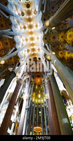 Inneneinrichtung mit Säulen und Decken, Sagrada Familia, UNESCO-Weltkulturerbe, Barcelona, Katalonien, Spanien Stockfoto