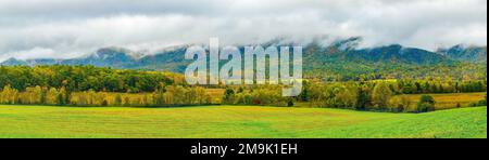 Feld, Bäume und Hügel im Herbst, Cades Cove, Great Smoky Mountains National Park, Tennessee, USA Stockfoto