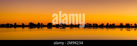 Mit Silhouetten überzogene Bäume bei orangefarbenem Sonnenuntergang, St. Marks National Wildlife Refuge, Florida, USA Stockfoto