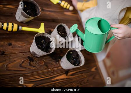 Wintervorbereitung für die Aussaat. Ein Mädchen gießt die Samen in Töpfen auf einem Holztisch mit gesäten Samen. Setzlinge für den Garten anbauen. Vegeta Stockfoto