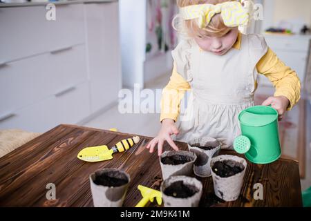Das Baby wässerte die Samen von Gemüse, das in umweltfreundlichen Torfbechern auf einem Holztisch gepflanzt wurde. Anbau von Samen zum Anpflanzen auf einer Plantage i Stockfoto