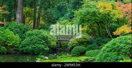 Fußgängerbrücke und grüne Pflanzen, Portland Japanese Garden, Portland, Oregon, USA Stockfoto