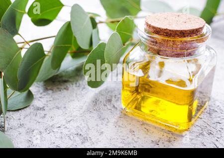 Eukalyptus ätherische Öle in Glasflasche. Oganic Kräuter Aromatherapie Konzept. Stockfoto