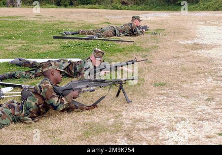 Marines des 2. Bataillons, 3. Marines, nähern sich ihrem Ziel und stellten mit Kaltwetterausrüstung einen Hinterhalt auf, um ihren Einsatz in Hokkaido, Japan, vorzubereiten. Basis: Marinekorps-Basis, Camp Hansen Bundesstaat: Okinawa Land: Japan (JPN) Stockfoto