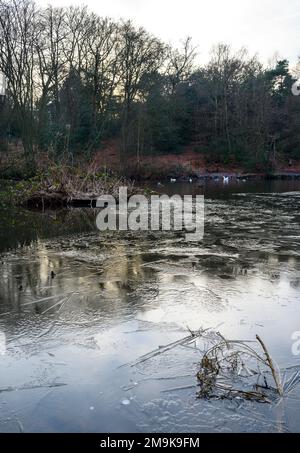 Einer der Keston-Teiche am Keston Common in der Nähe des Dorfes Keston in Kent, Großbritannien. Eine kalte Winterszene mit Eis auf der Oberfläche des Teichs. Stockfoto