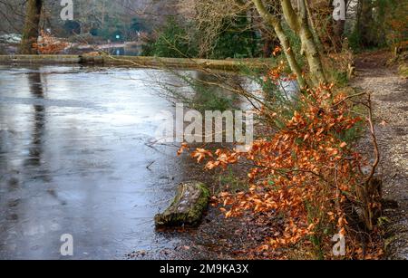 Einer der Keston-Teiche am Keston Common in der Nähe des Dorfes Keston in Kent, Großbritannien. Eine kalte Winterszene mit Eis auf der Oberfläche des Teichs. Stockfoto