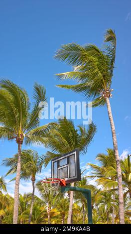 Basketballring und Backboard mit Kokospalmen im Hintergrund. Stockfoto