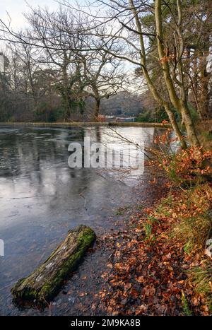 Einer der Keston-Teiche am Keston Common in der Nähe des Dorfes Keston in Kent, Großbritannien. Eine kalte Winterszene mit Eis auf der Oberfläche des Teichs. Stockfoto